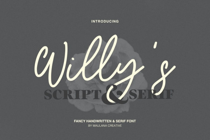 Willys Script Serif Font Font Download