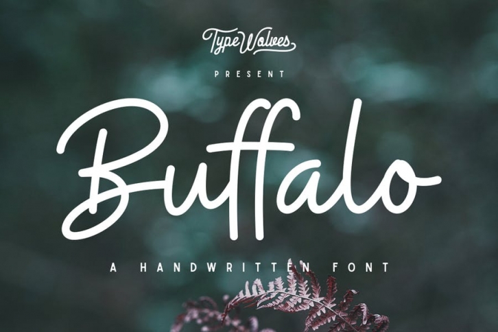 Buffalo Font Download