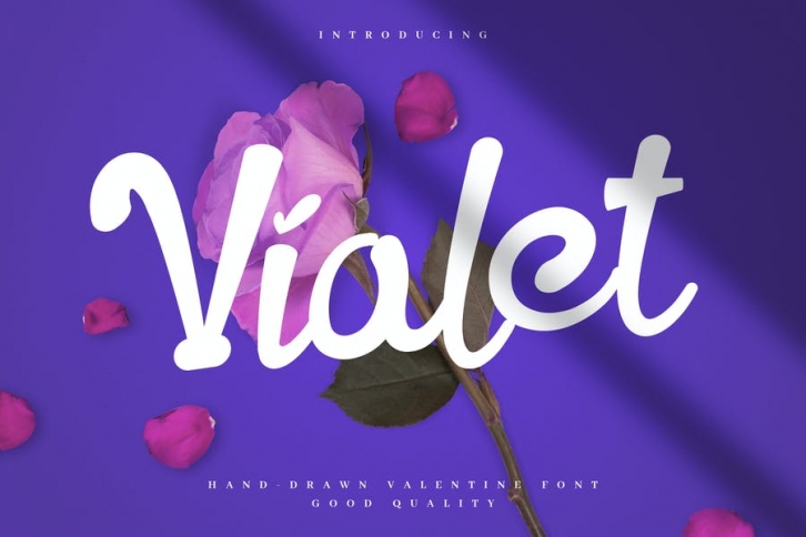 Violet - Bold Valentine Font Font Download