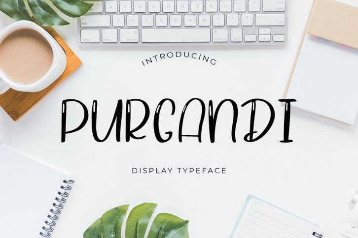 Purgandi Display Font Font Download