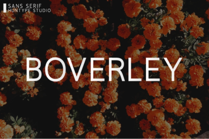 Boverley Font Download