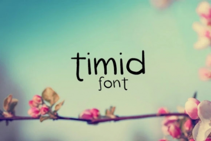 Timid Font Download