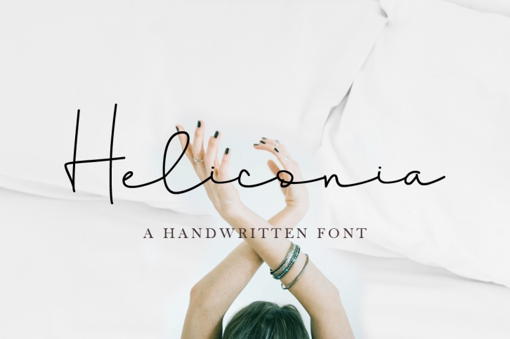 Heliconia Script Font Font Download