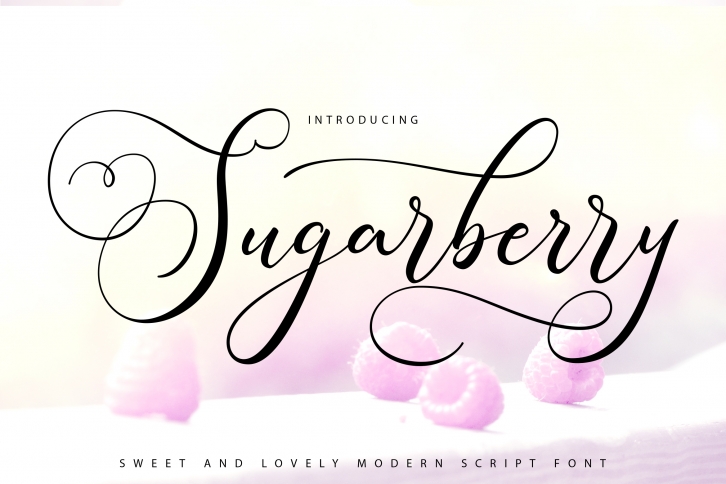 Sugarberry | Modern Script Font Font Download