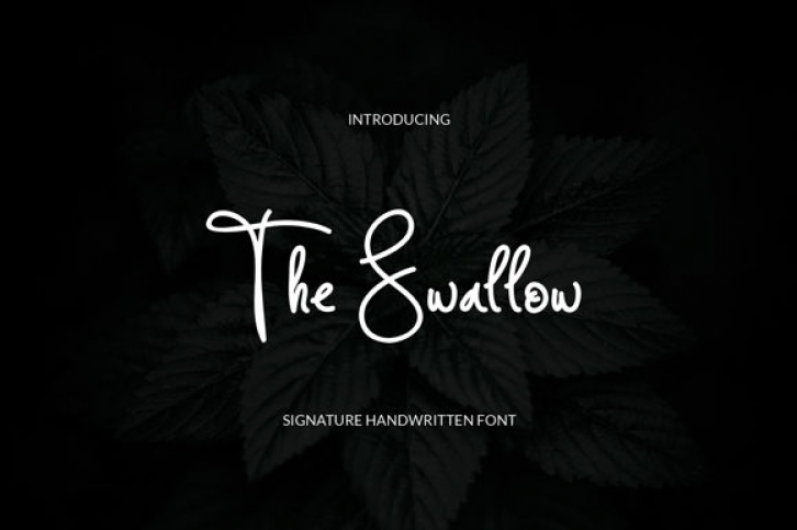The Swallow Font Download