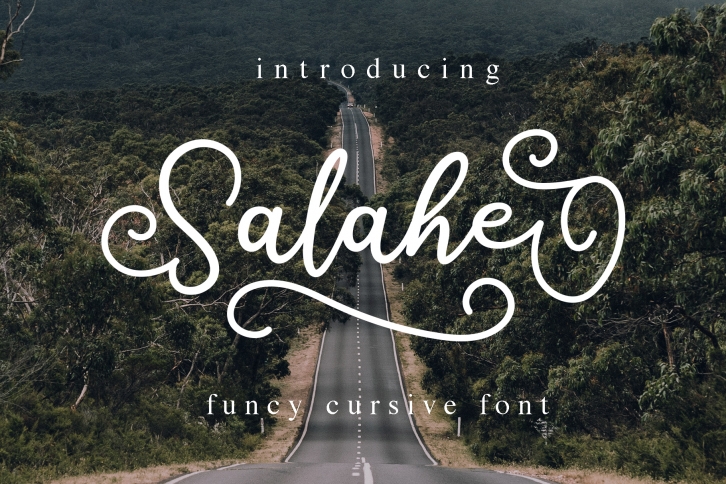Salahe - a funcy cursive font Font Download