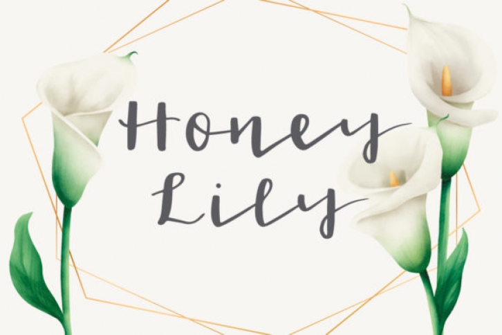 Honey Lily Font Download
