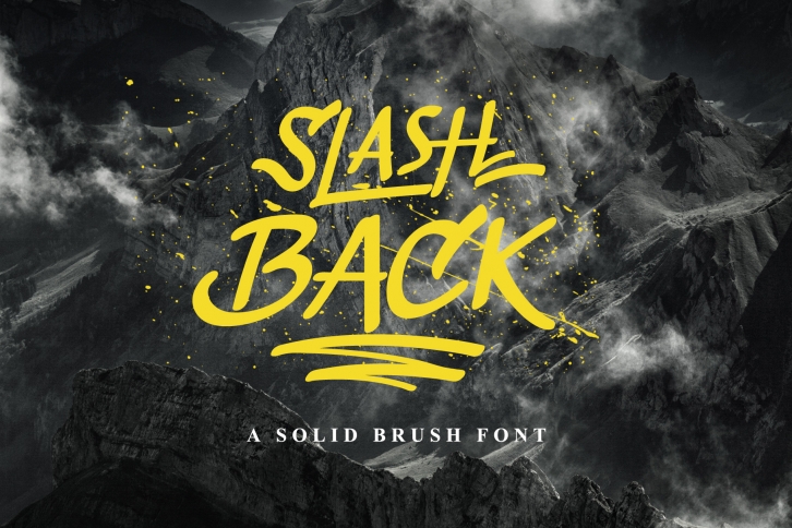 Slashback Typeface Font Download