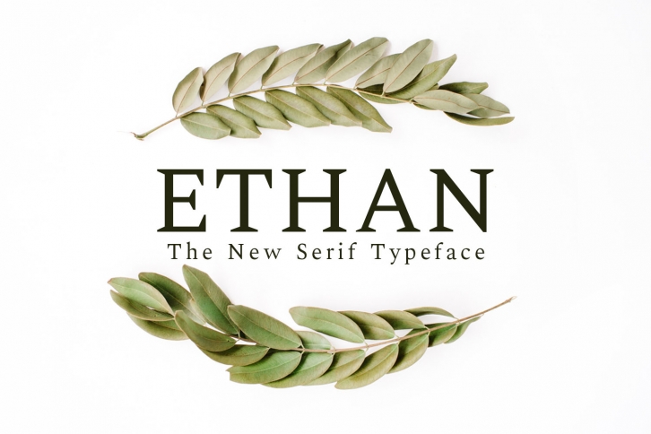 Ethan Serif 8 Font Family Pack Font Download