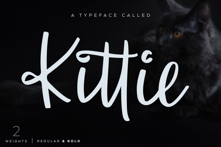 Kittie | Regular & Bold Font Download