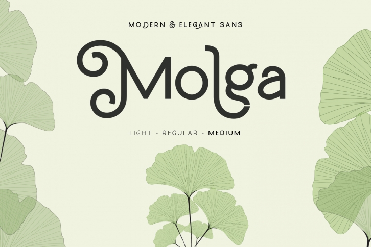 Molga font Font Download