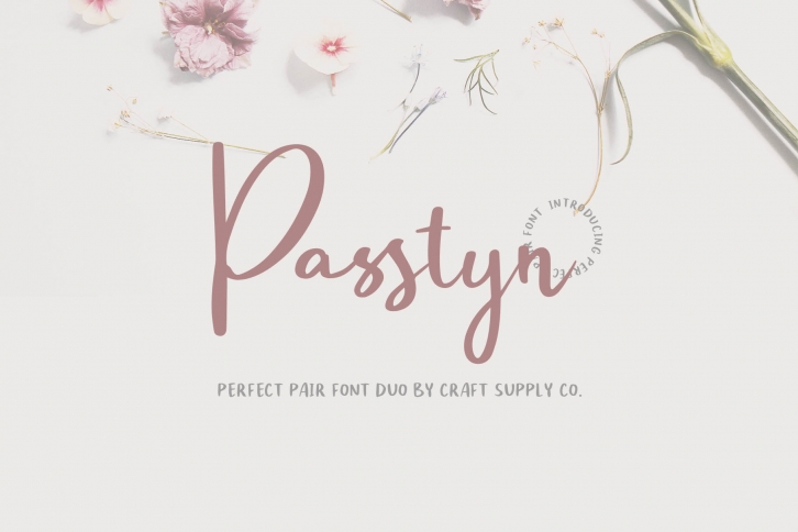 Passtyn - Handwritten Font Duo Font Download