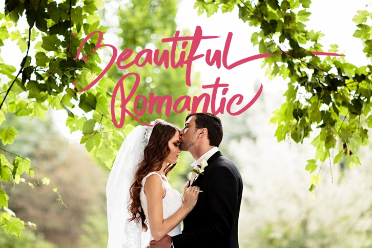 Skytree Script Brush Font Font Download