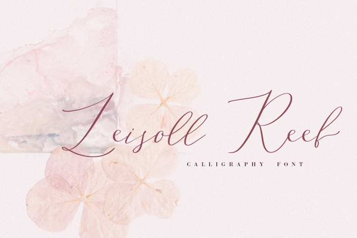 Leisoll Reef, modern calligraphy script Font Download
