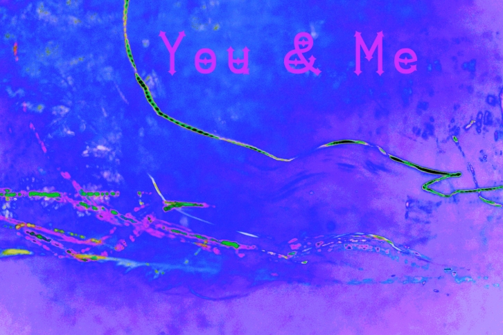 Dymond Speers Solid Typefont Font Download