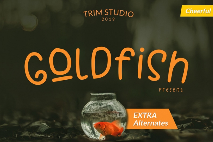 Goldfish - Playful Teacher Kids Font Font Download
