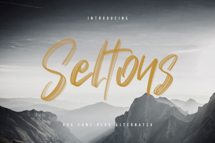 Seltons - SVG Font Font Download