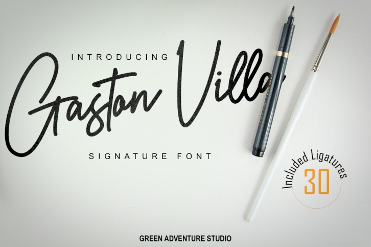 Gaston Villa | A Signature Font Font Download