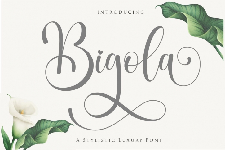 Bigola Font Download