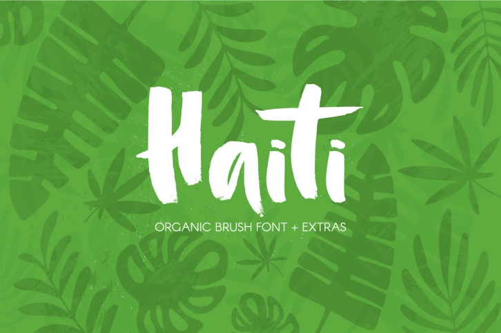 Haiti Organic Brush Font Font Download