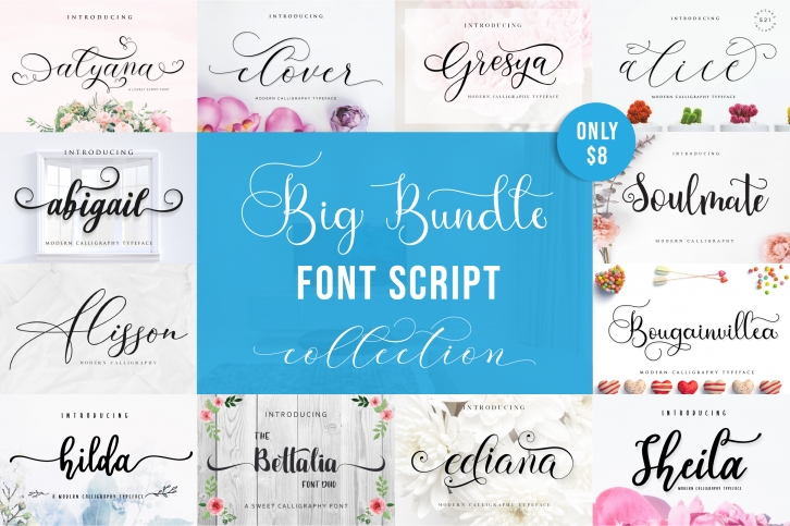 Special Fonts Bundle Font Download