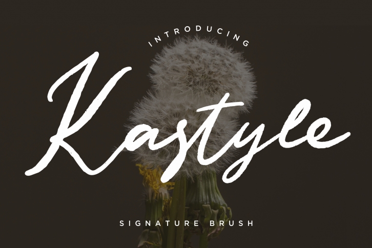 Kastyle Signature Brush Font Download