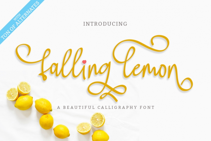 Falling Lemon | Modern Calligraphy Font Font Download