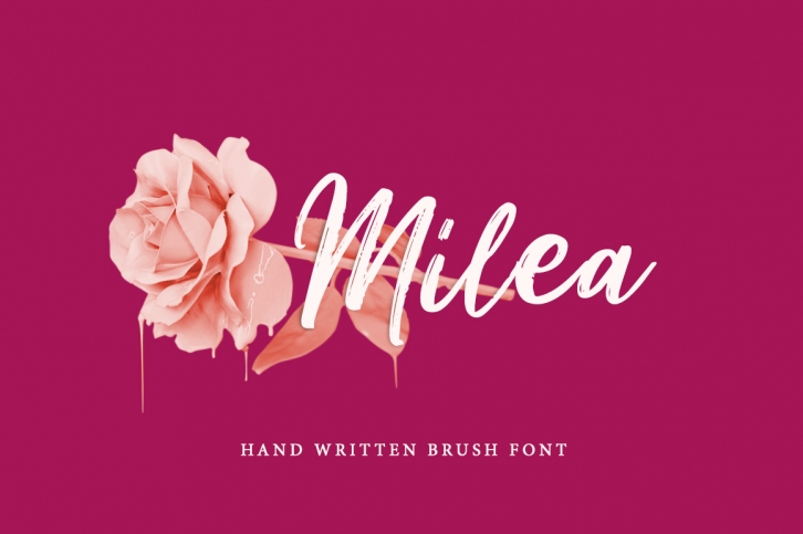 Milea - Hand Brush Script Font Download