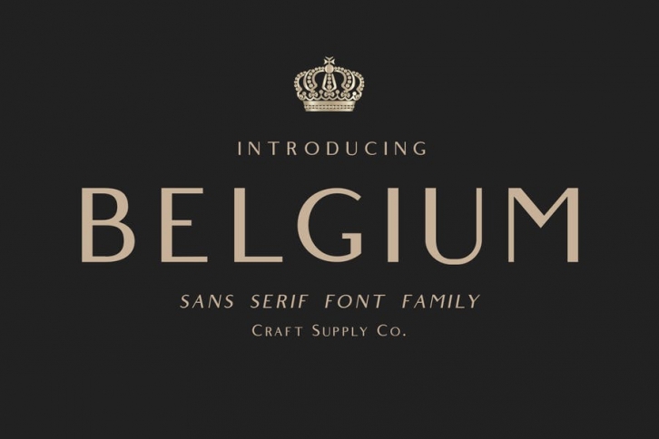 Belgium Font Family Font Download