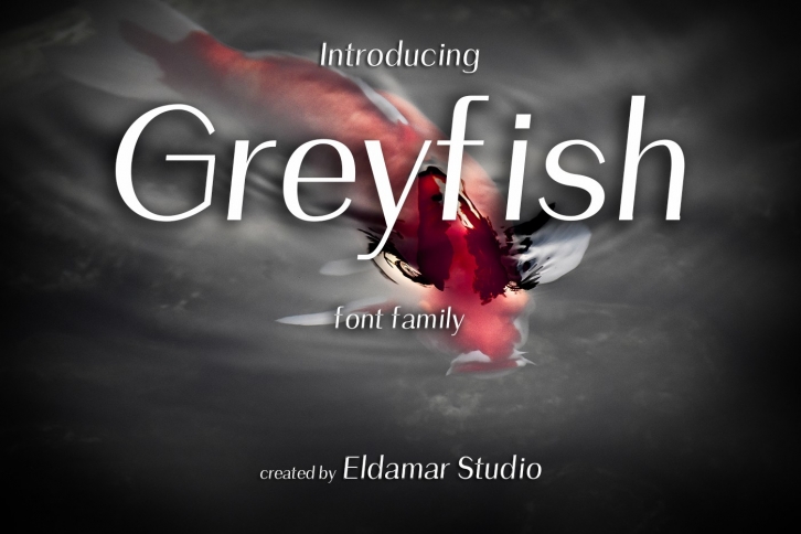 Greyfish Font Font Download