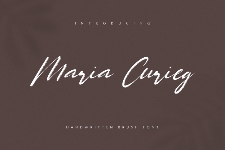 Maria Curieg Handwritten Brush Font Font Download