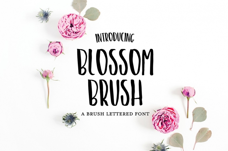 BLOSSOM BRUSH Sans Hand Lettered Font Font Download