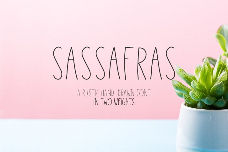 Sassafras Sans - Regular and Bold Font Download