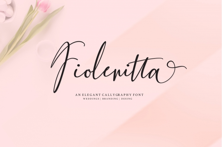 NEW Fiolenitta Font Download