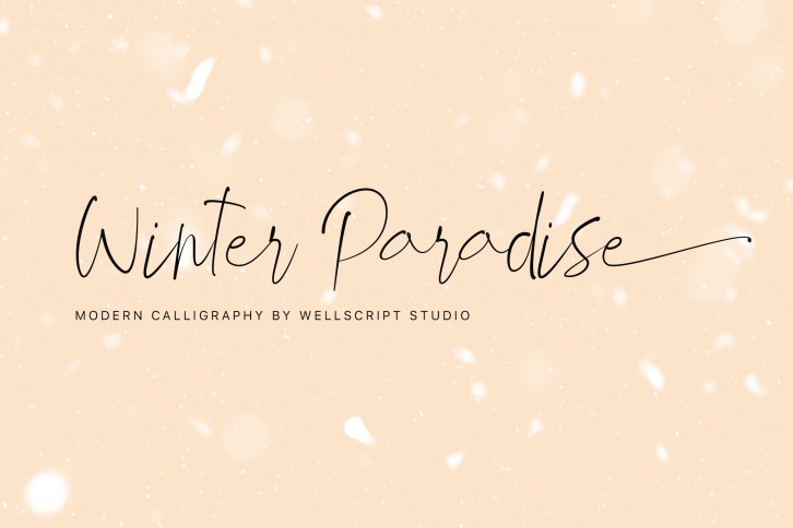 Winter Paradise - Modern Script Font Download