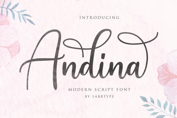 Andina - Modern Script Font Font Download