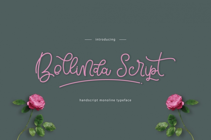 Bellinda Script Font Download