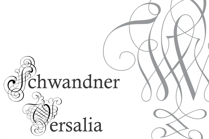 SchwandnerVersalia Font Download