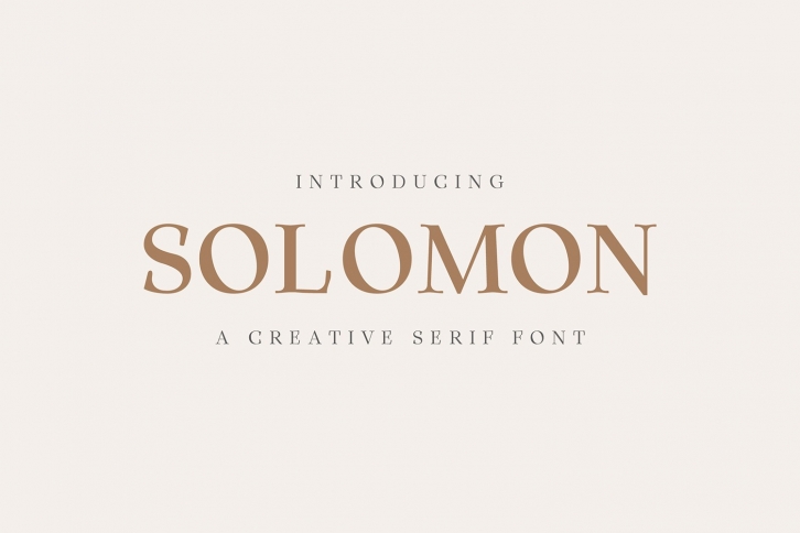 Solomon Serif Font Family Font Download