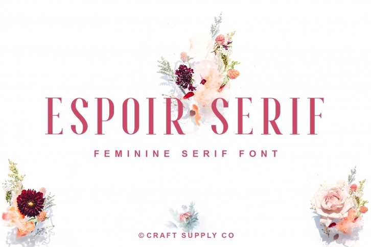 Espoir Serif Font Family Font Download