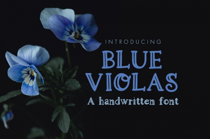 Blue Violas Font Download