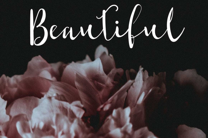 Shaktira Script Font Font Download