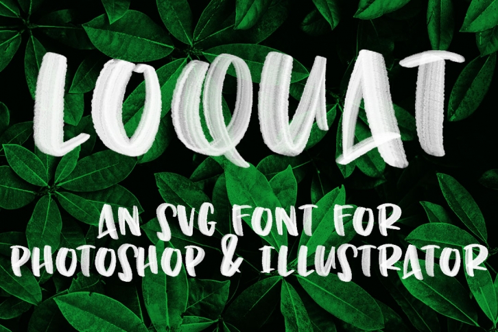 Loquat - handwritten OpenType SVG font with transparency! Font Download