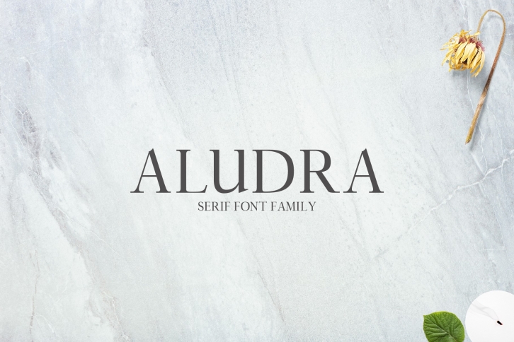 Aludra Serif 12 Font Family Pack Font Download