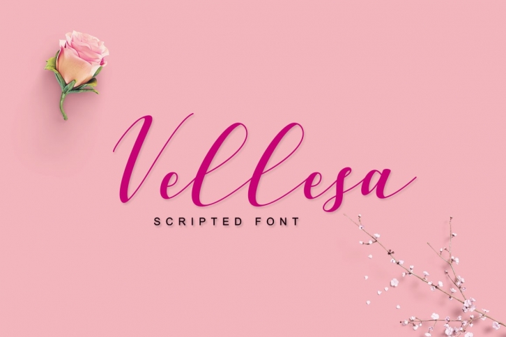 Vellesa Script Font Download