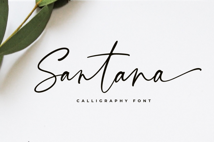 Santana Calligraphy Font Font Download