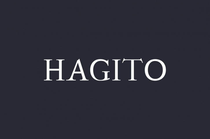 Hagito Serif Font Family Font Download