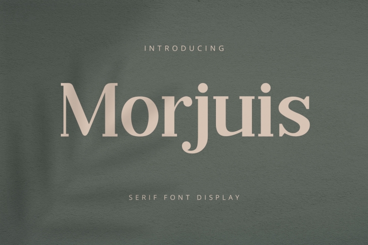 MORJUIS - Serif Font Typeface Font Download