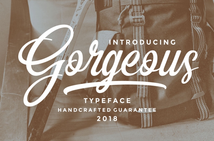 Gorgeous Script Font Download