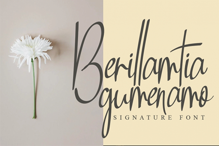 Berillamtia Font Download